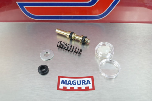 Pistoncino kit revisione - pistoncino,